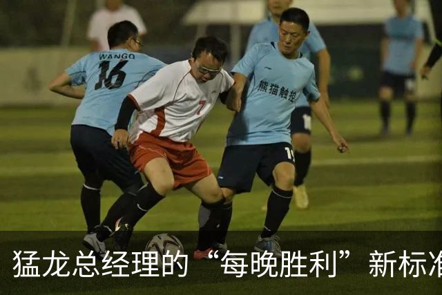猛龙总经理的“每晚胜利”新标准：信心满满，目标直指星辰
